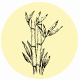 Fragrance Notes Bamboo