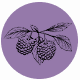 Fragrance Notes Blackberry
