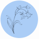 Fragrance Notes Bluebell