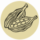 Fragrance Notes Cardamom