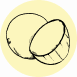 Fragrance Notes Coconut
