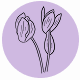 Fragrance Notes Cyclamen Flowers