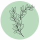 Fragrance Notes Eucalyptus