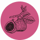 Fragrance Notes Figs Dark Pink