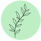 Fragrance Notes Galbanum