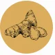 Fragrance Notes Ginger