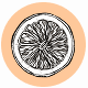 Fragrance Notes Grapefruit