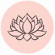 Fragrance Notes Lotus