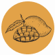 Fragrance Notes Mango