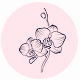Fragrance Notes Orchid