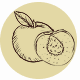Fragrance Notes Peach