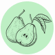 Fragrance Notes Pear
