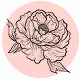 Fragrance Notes Peony
