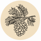 Fragrance Notes Pine Cone