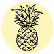 Fragrance Notes Pineapple