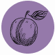 Fragrance Notes Plum