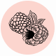 Fragrance Notes Raspberry