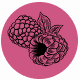 Fragrance Notes Raspberyy Dark Pink