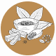 Fragrance Notes Sandalwood