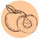 Fragrance Notes Sweet Peach
