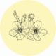 Jasmine Fragrance Notes