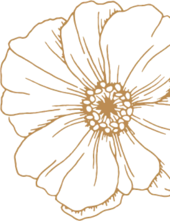 The story flower
