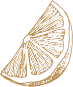 orange-segment-illustration